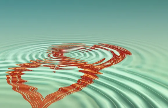 Rajbet Casino Ondersteuning